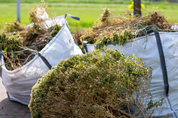 Best Electronics Removal Services  in Montgomery, MN